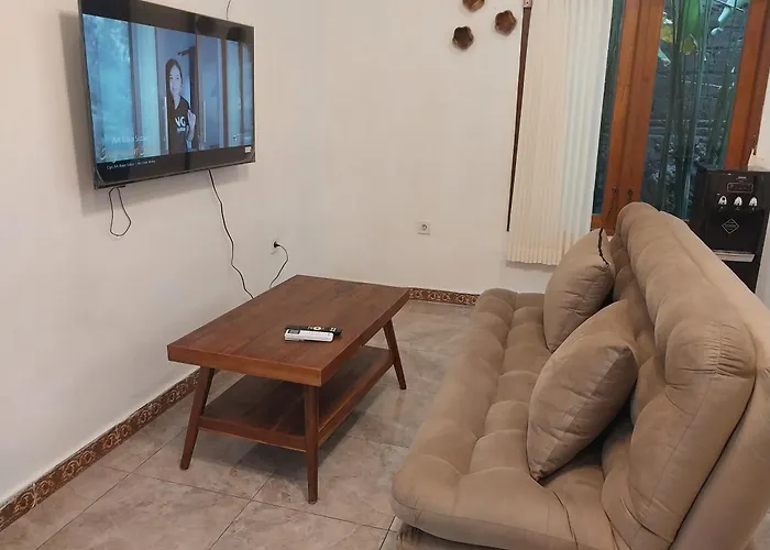 D,jajang فيلة *